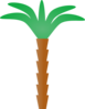 Cartoon Palm Tree Clip Art